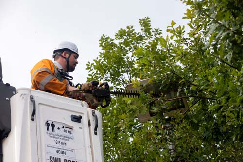 Grounds Maintenance Services