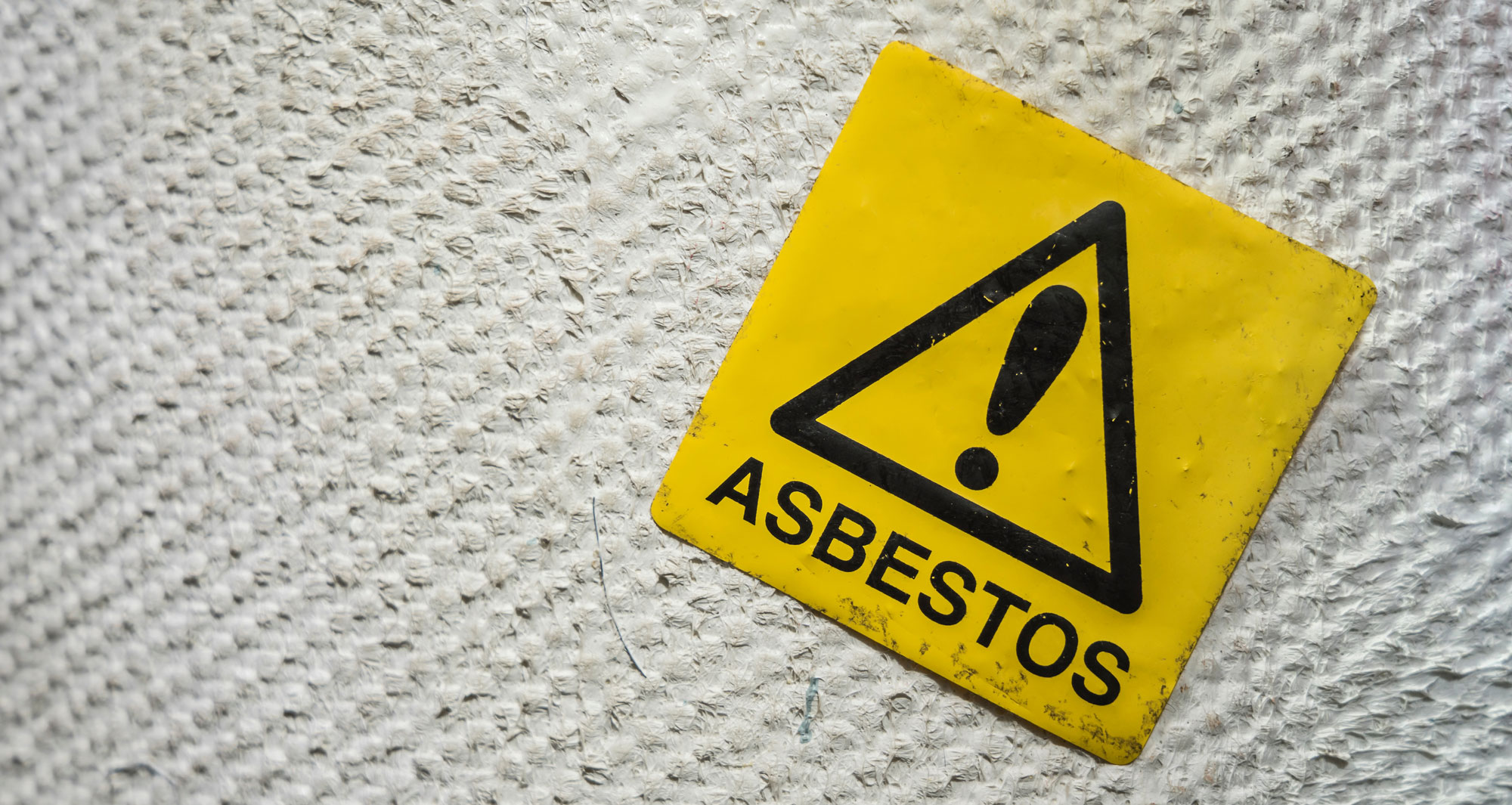 Reactive Zero Two begins asbestos services